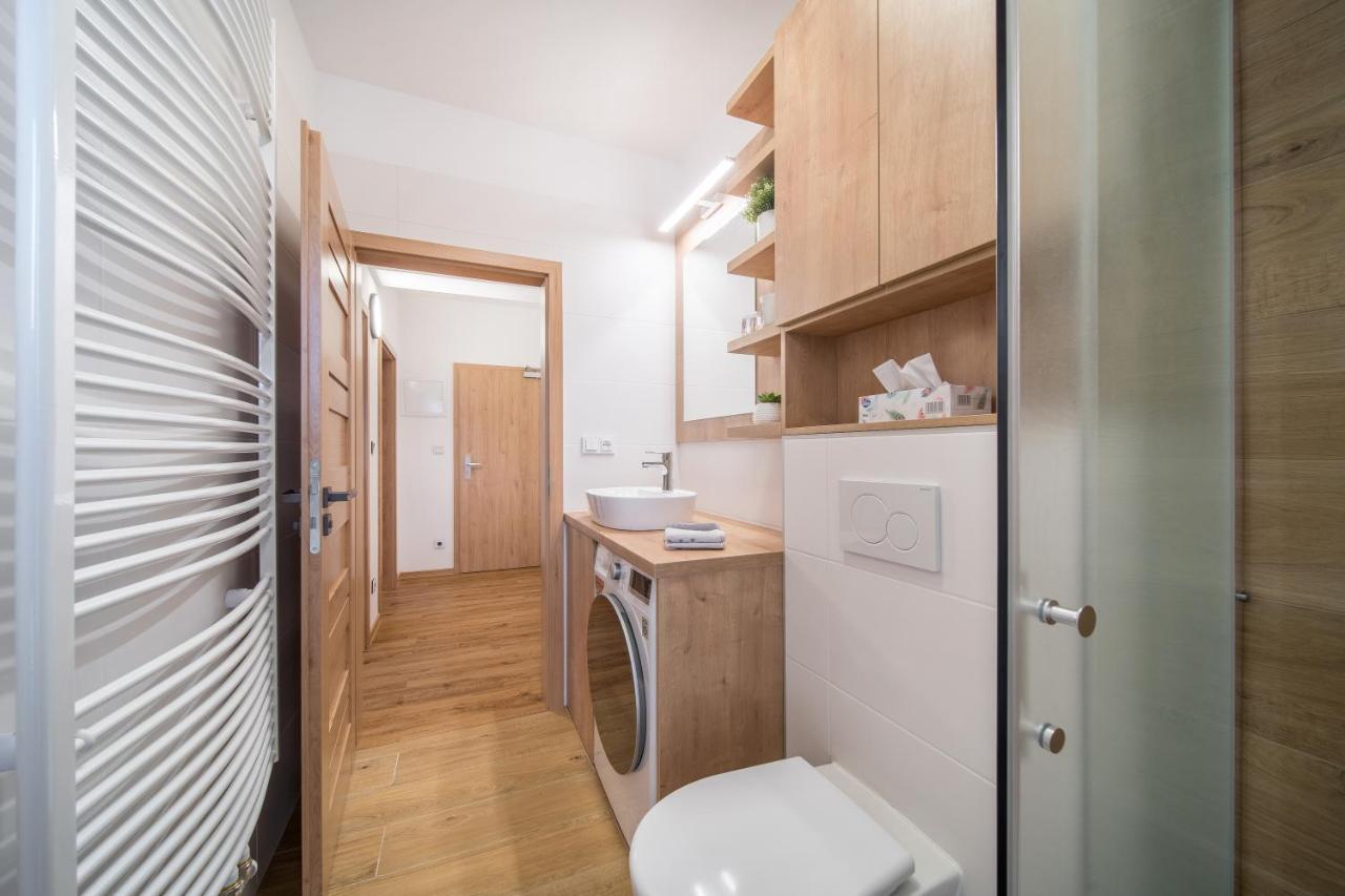 Apartmán U Suchého buku - Buková Hora Červená Voda Esterno foto