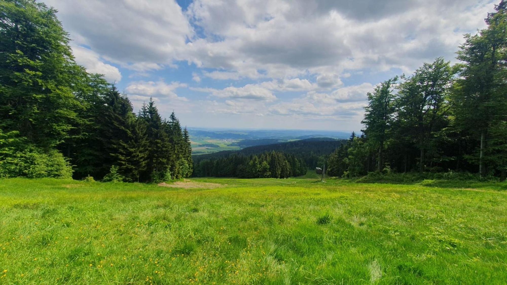 Apartmán U Suchého buku - Buková Hora Červená Voda Esterno foto